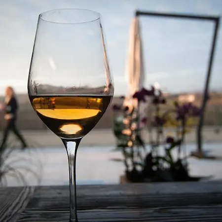 Alloggio per agriturismo Klanjscek Wine&stay Gorizia